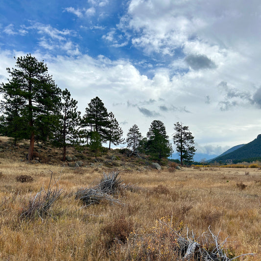 Family Time in the Mountains: Why It’s Worth Every Second